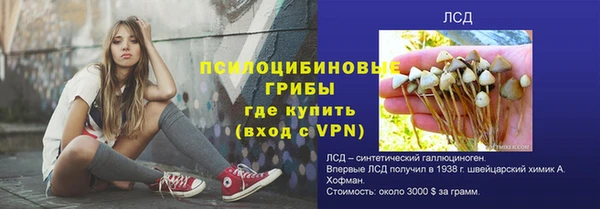 мяу мяу мука Алзамай