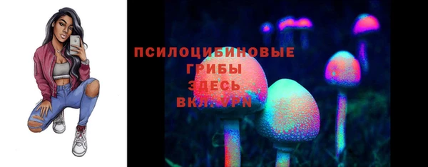 мяу мяу мука Алзамай