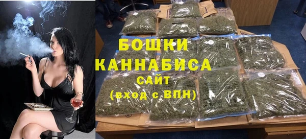 дмт Дмитров