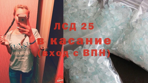 мяу мяу мука Алзамай