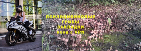 таблы Алексеевка