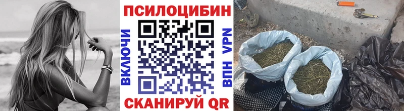 Псилоцибиновые грибы мицелий  Похвистнево 