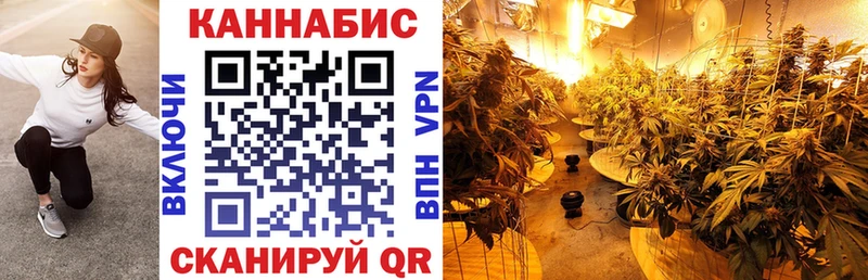 дарк нет состав  закладка  Похвистнево  Бошки марихуана гибрид 